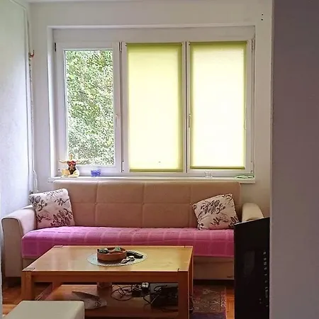 Apartment Cozy In Sarajevo